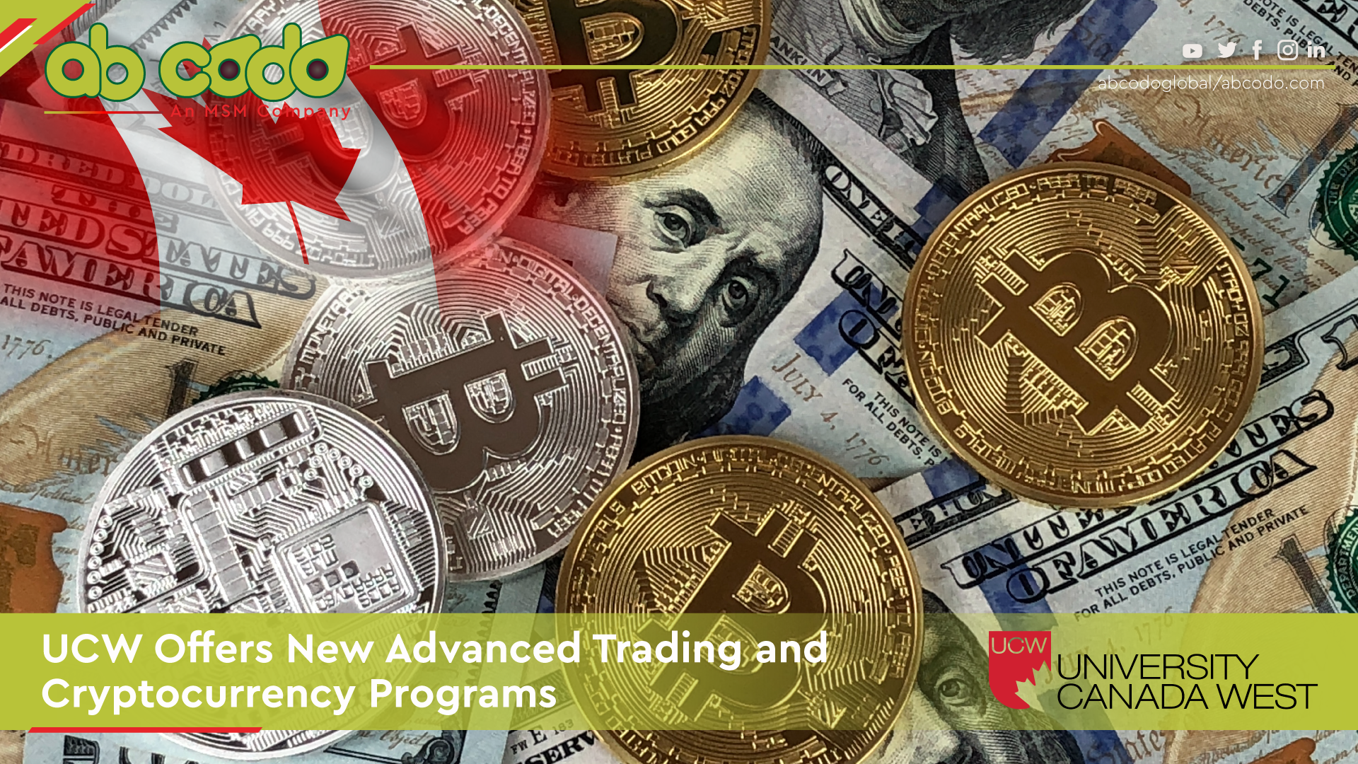 Advanced Trading and Cryptocurrency Programs