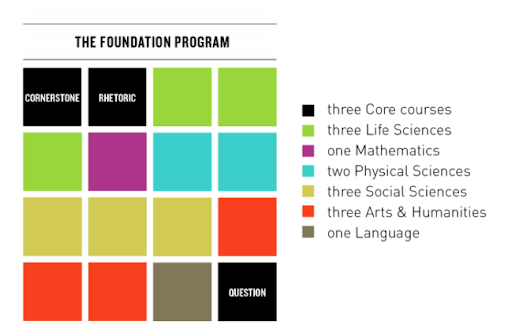 The Foundation Program - Abcodod